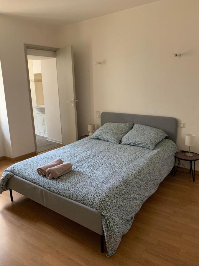 Ravissant Appartement T3 Hypercentre De Мазаме Екстериор снимка